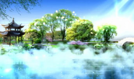 免费风景视频素材,免费视频素材带你领略世界之美